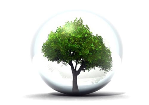 Photo d'un arbre dans une bulle